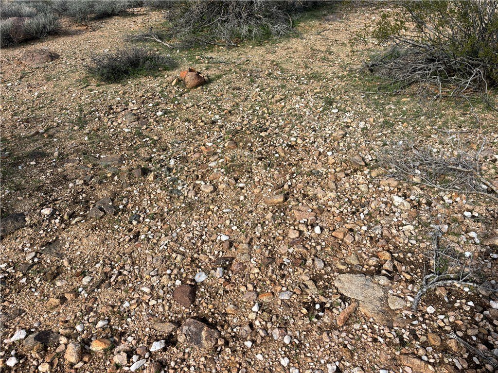 Picture 33