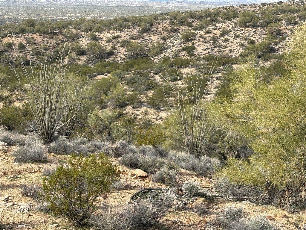 Picture 27