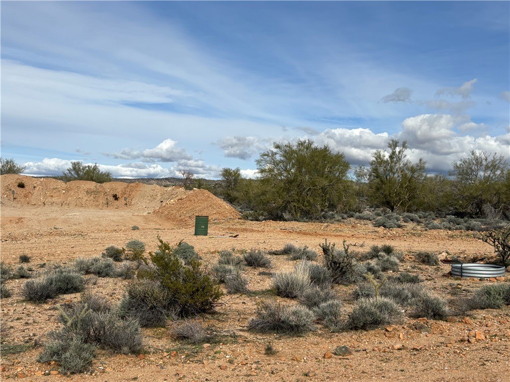 Picture 9