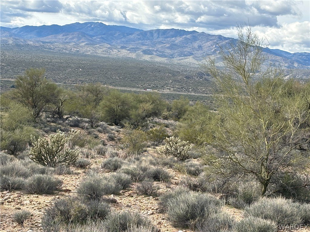 Picture 18