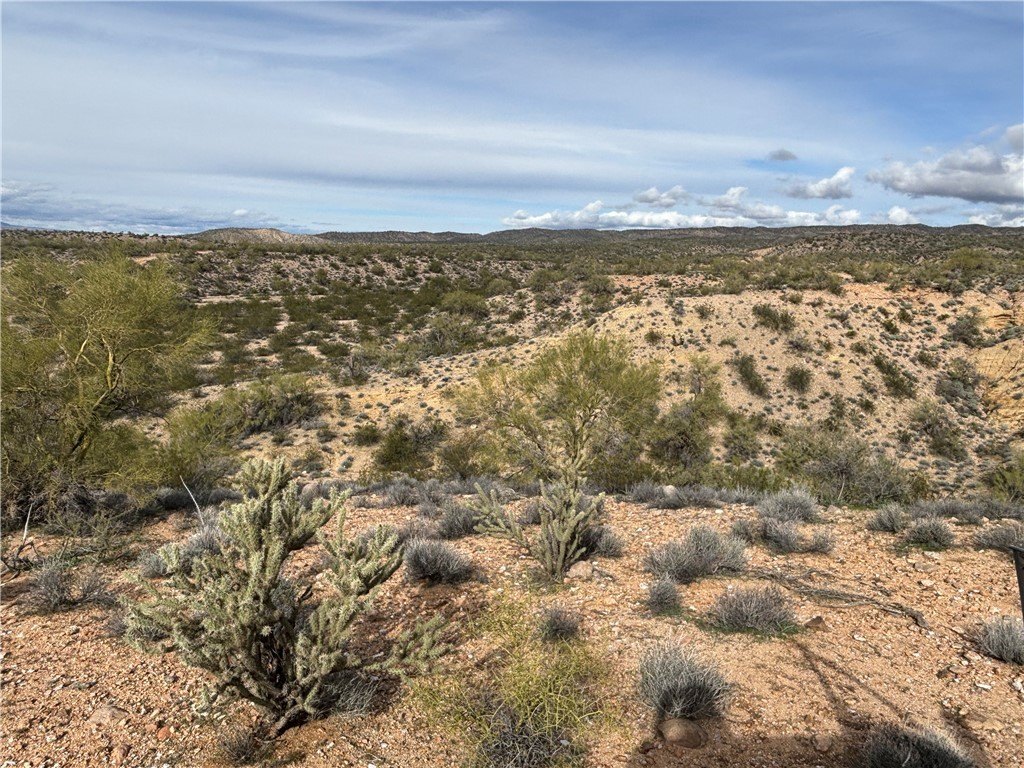 Picture 23