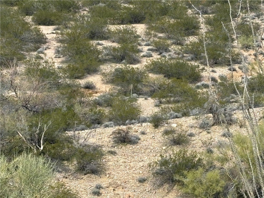 Picture 35