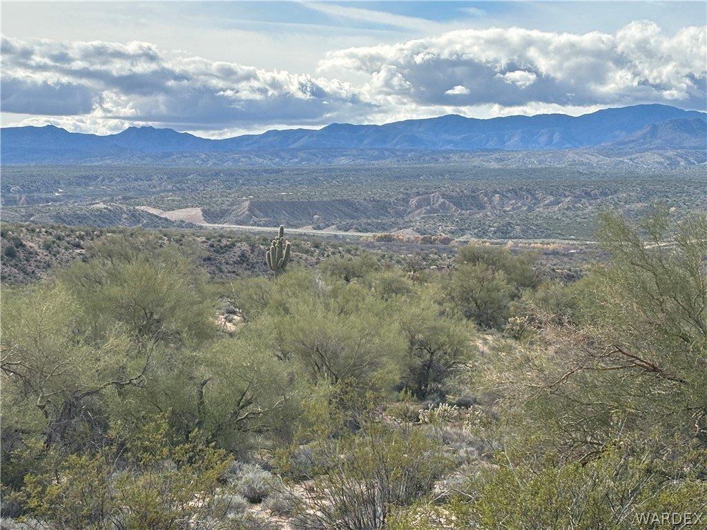 Picture 19