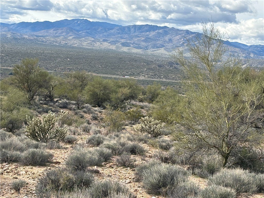 Picture 18