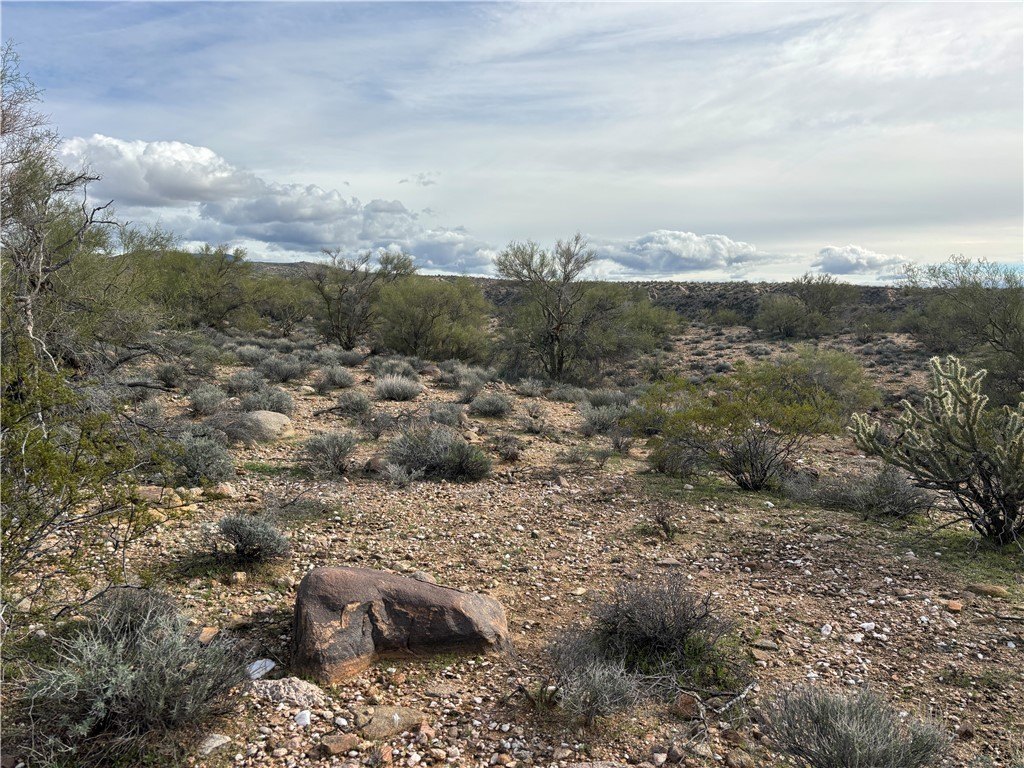 Picture 28
