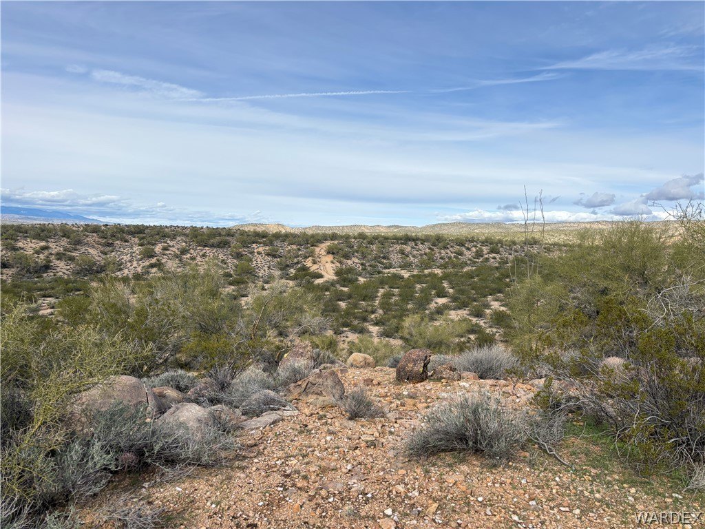 Picture 30