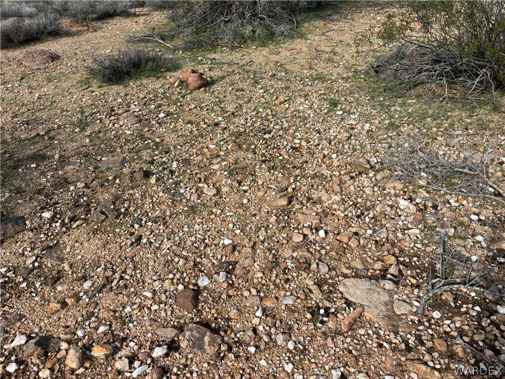 Picture 33