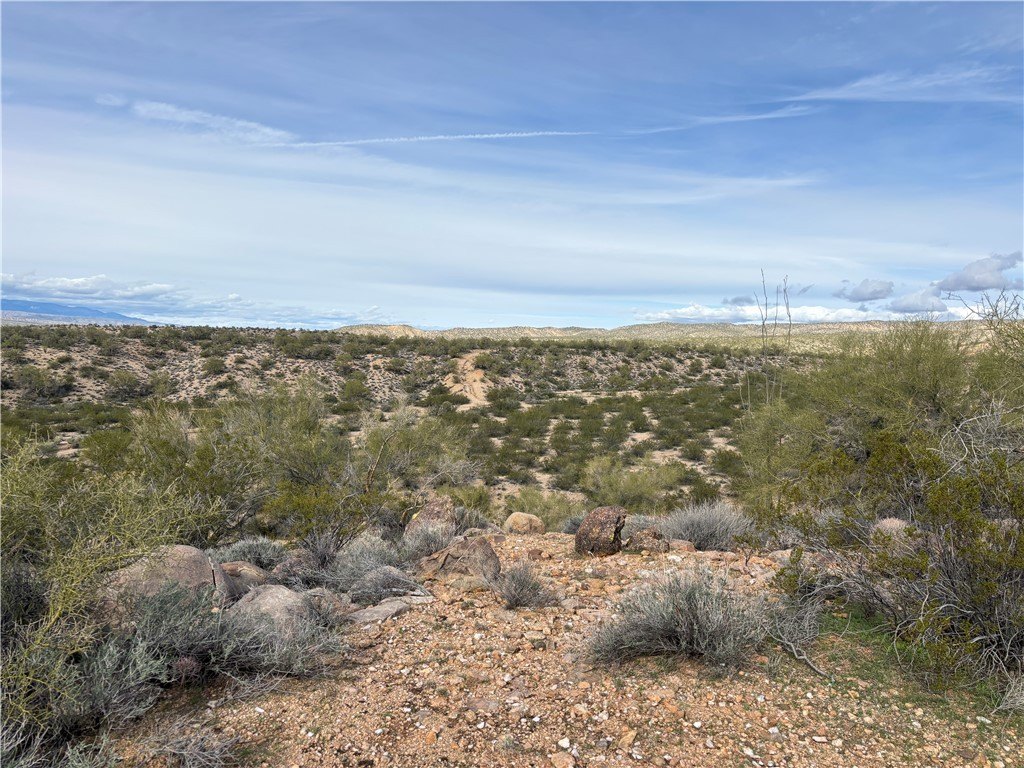 Picture 30