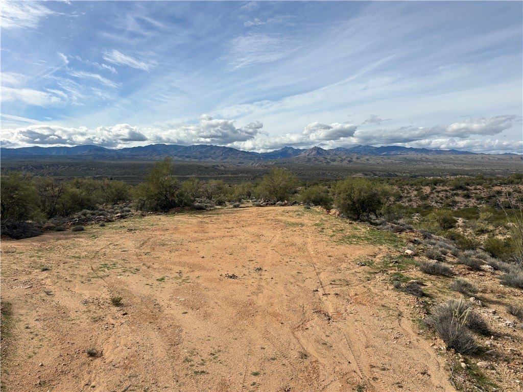 Picture 21