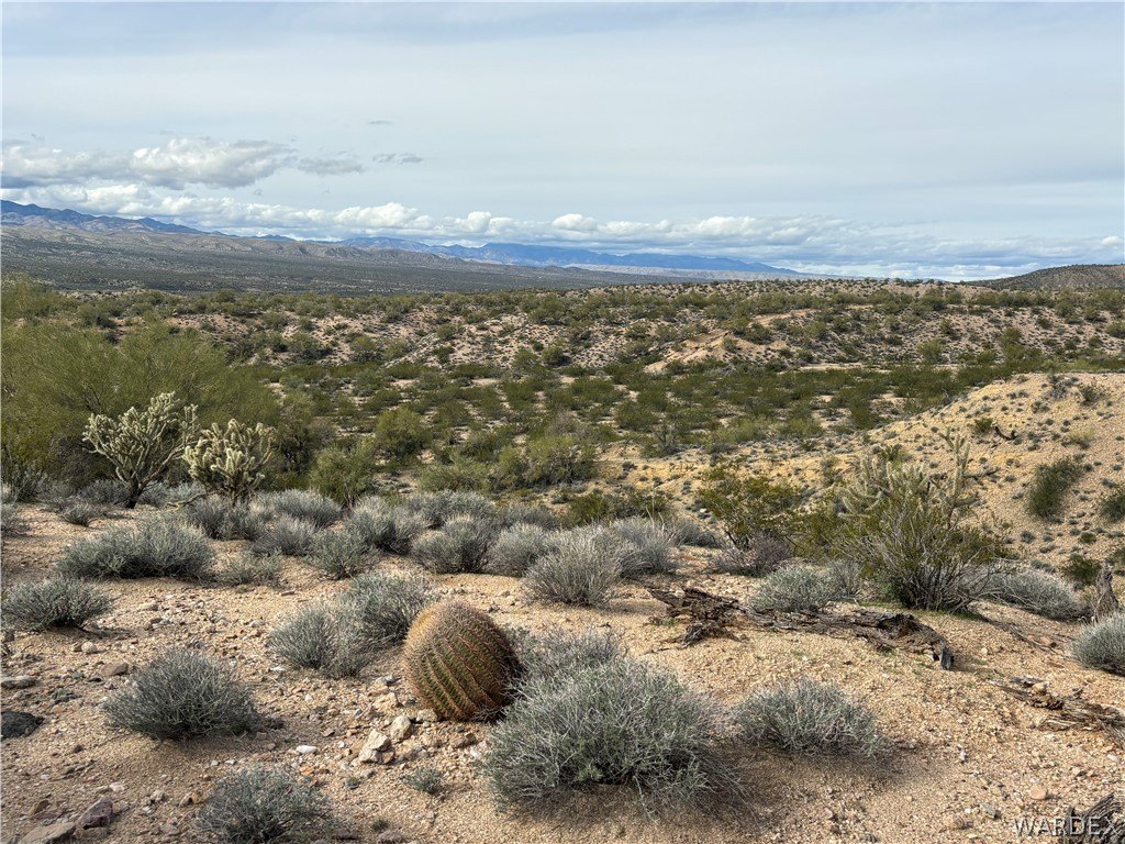 Picture 20