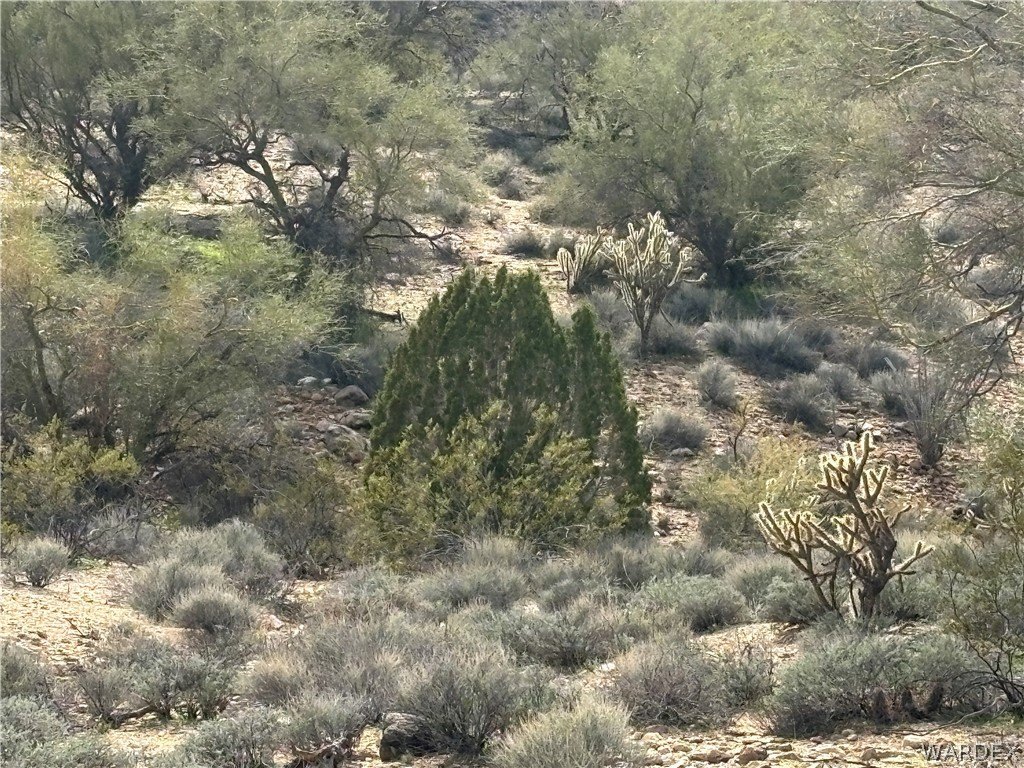 Picture 26
