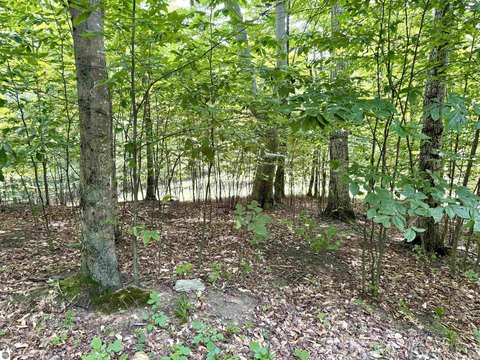 Vacant Lot/Land, Empire, MI