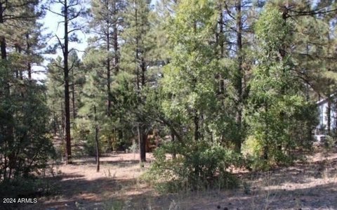 Spacious Lot in Hacienda Pine