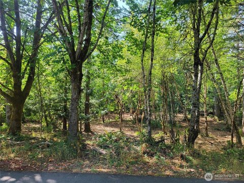 Waterfront Residential Land Parcel