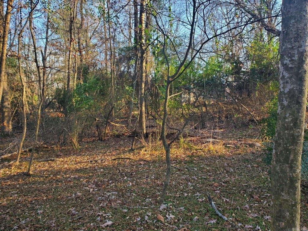 Picture 14