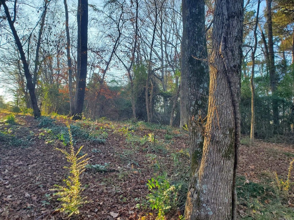 Picture 4