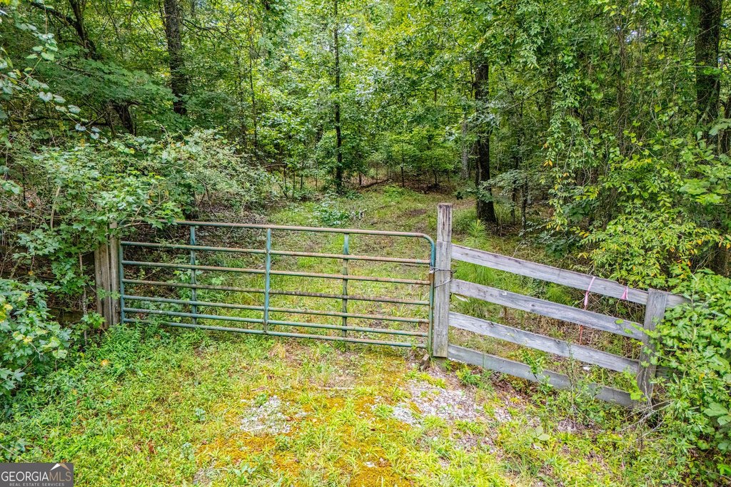 Picture 9