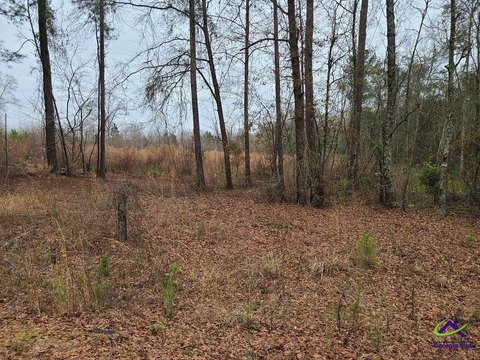 Residential Lot in Fort Valley