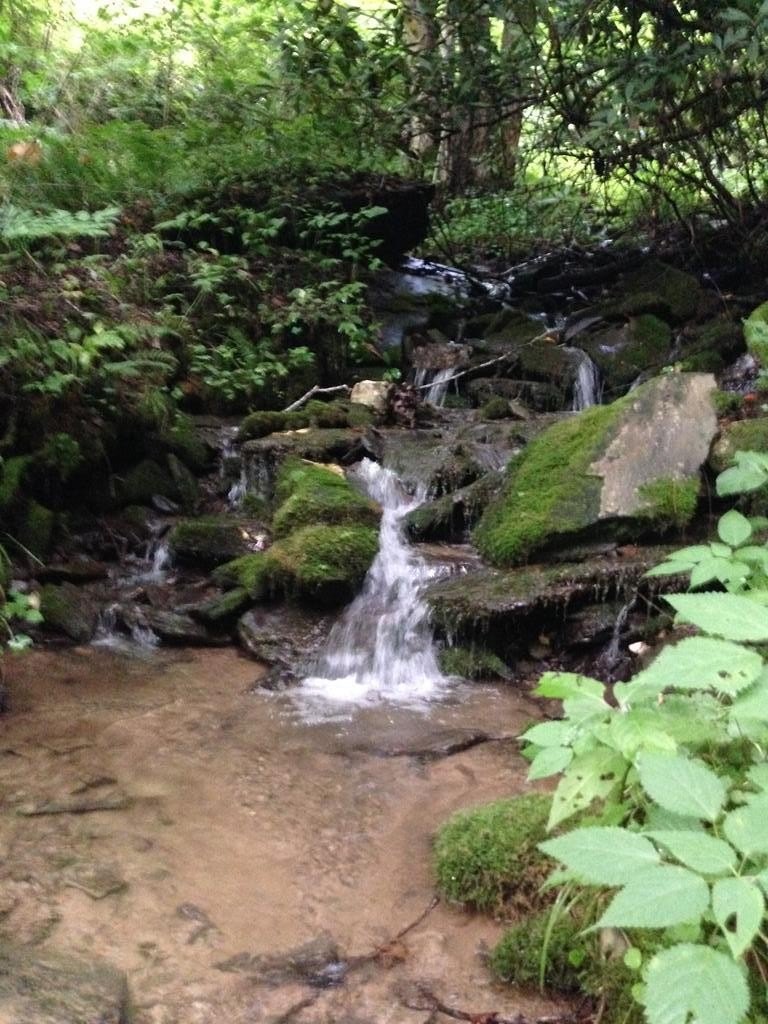 Land with Cascading Streams