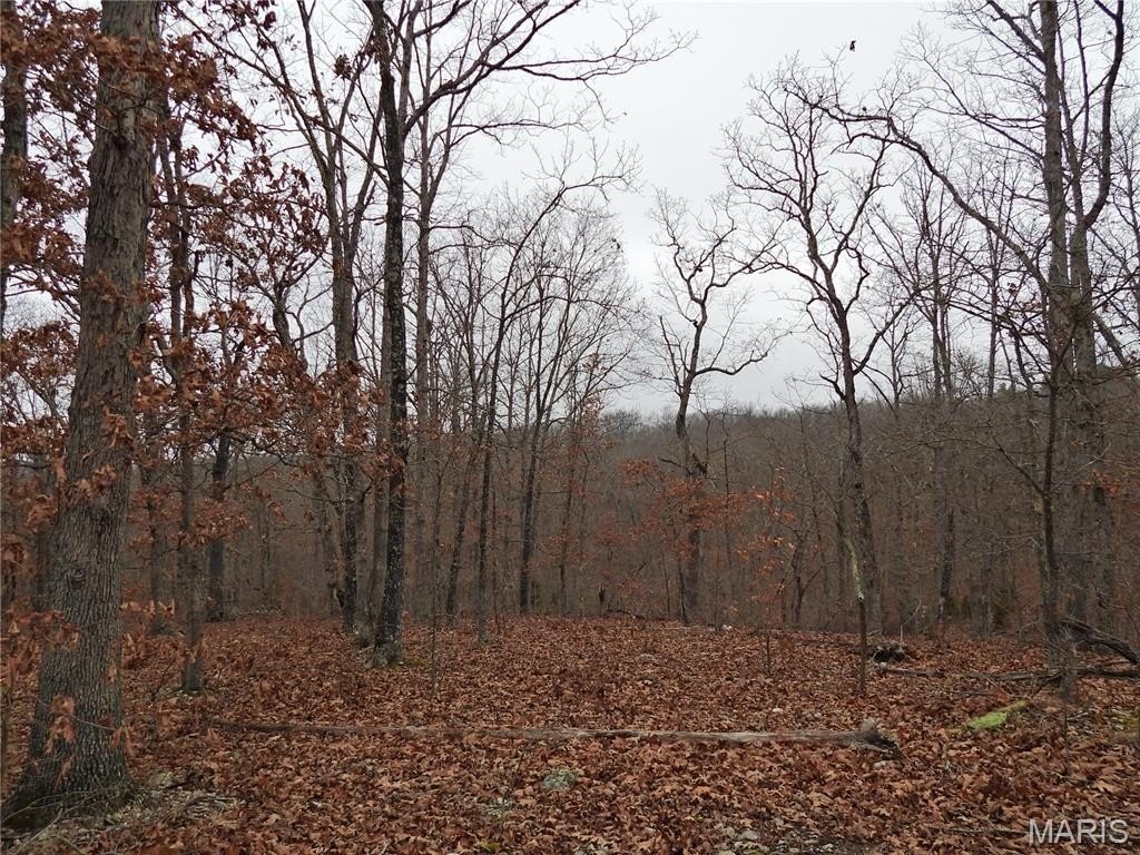 Picture 8