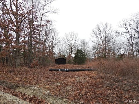 Hunting Land Parcel with Shed