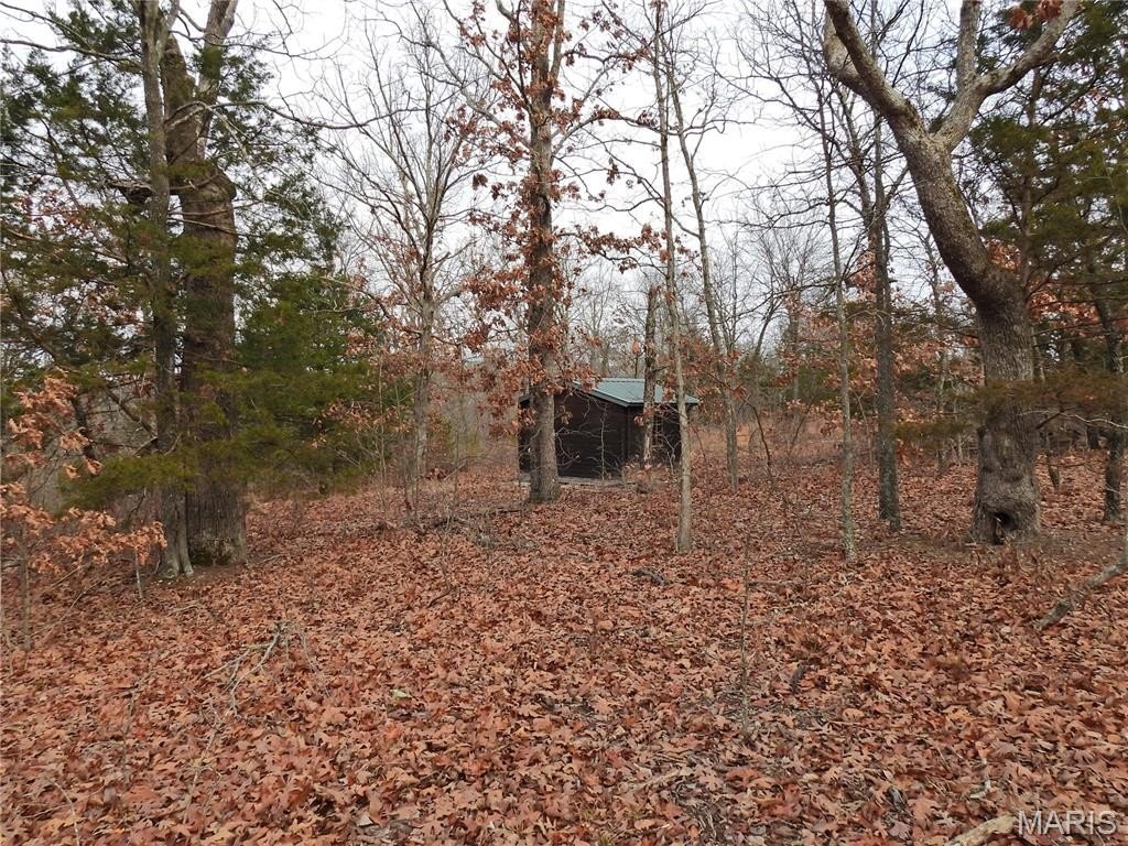 Picture 4