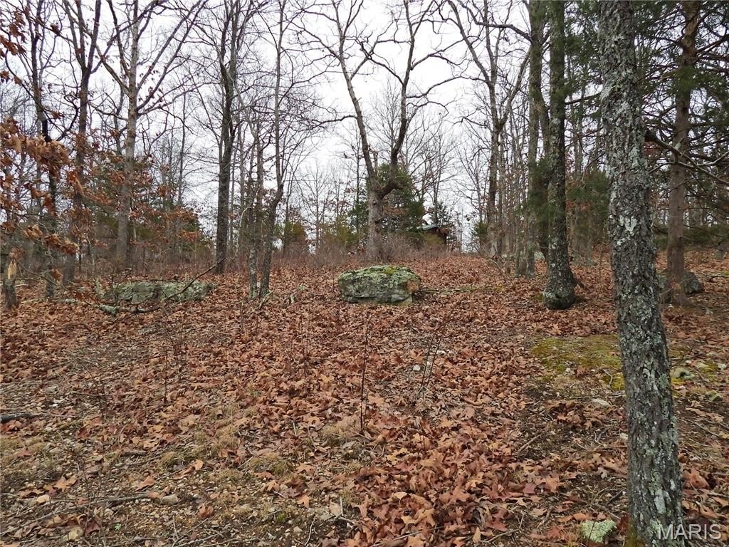 Picture 11