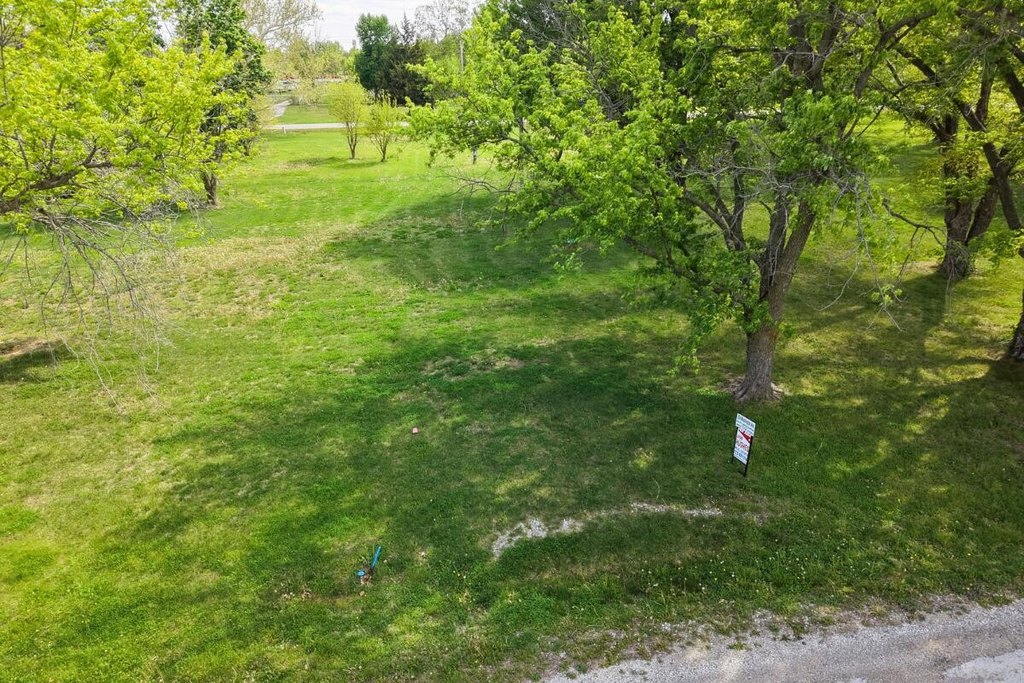 Picture 3