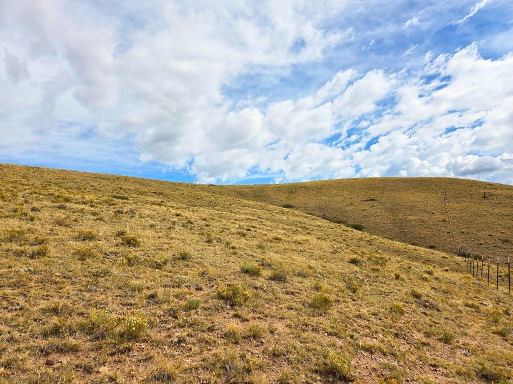 Picture 22