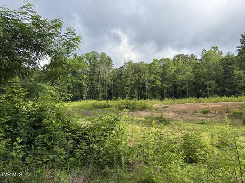 LAND - Mountain City, TN