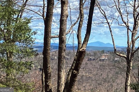 Big Canoe Buildable Lot