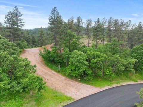 Wooded Land with Overlook Views