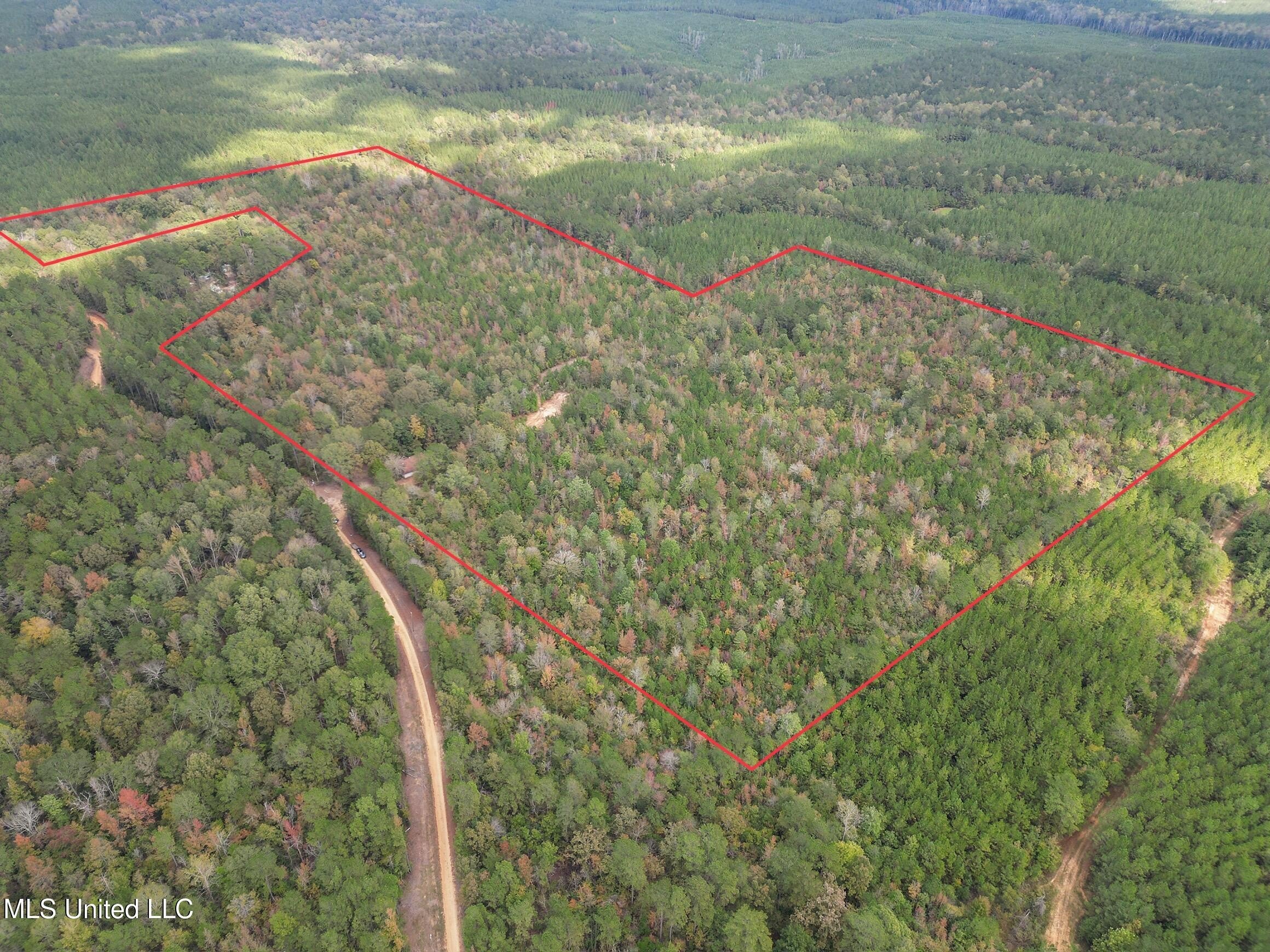 58.2 Acres Hunting Retreat, Pinola
