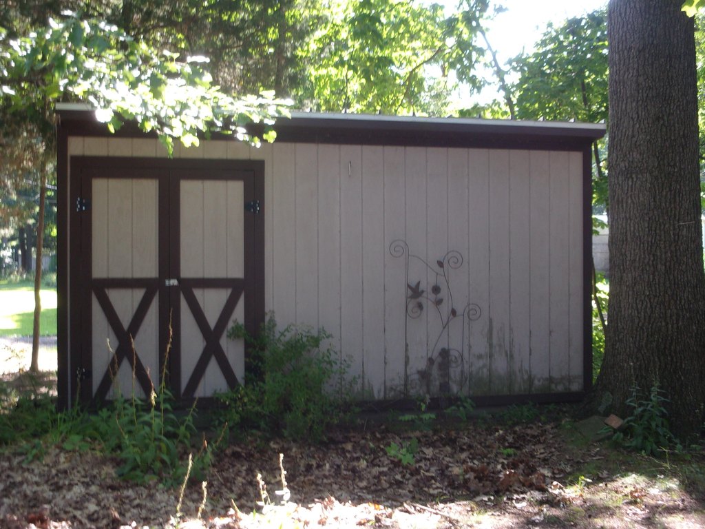 Picture 3