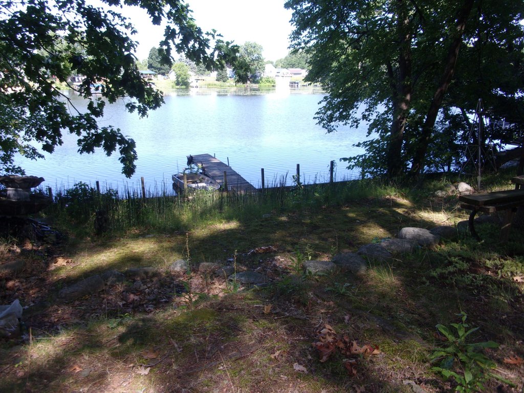 Picture 7