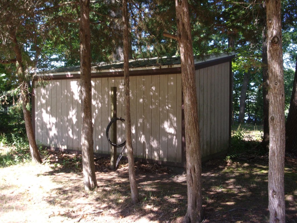 Picture 4
