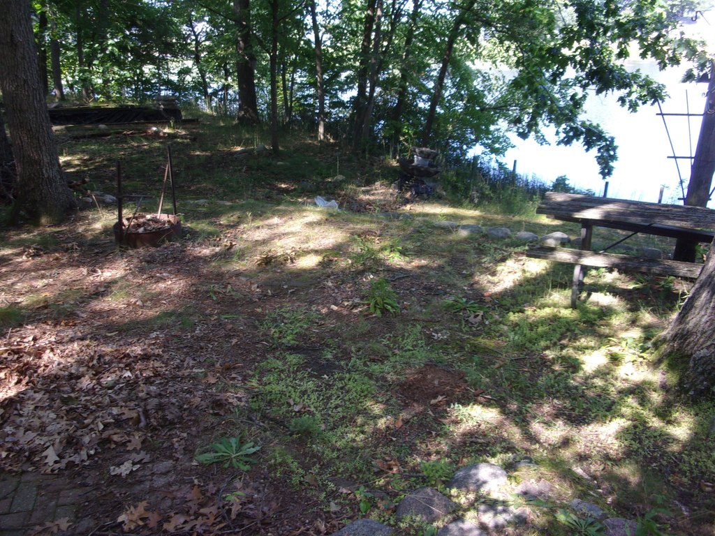 Picture 6