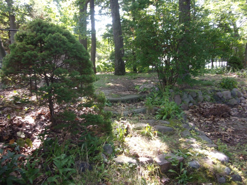 Picture 5