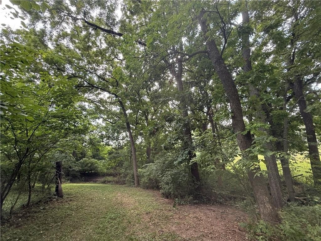 Picture 19