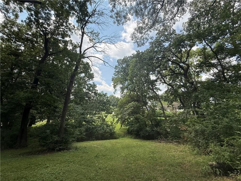 Picture 20