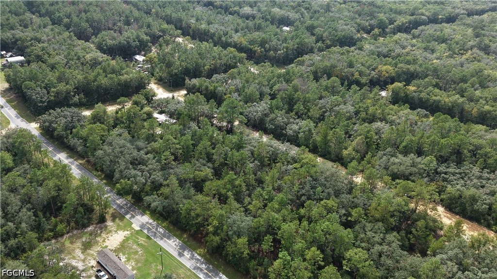 Picture 22