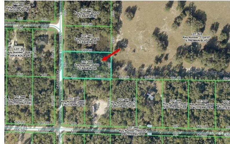 Residential Land in Webster, Florida
