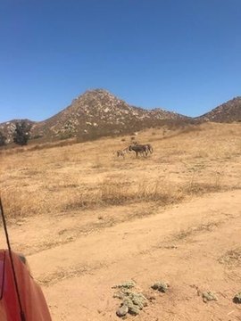 Moreno Valley Land For Sale