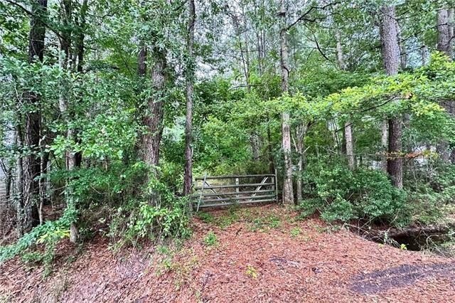 Picture 2