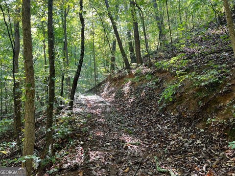 Land in North GA Mountains