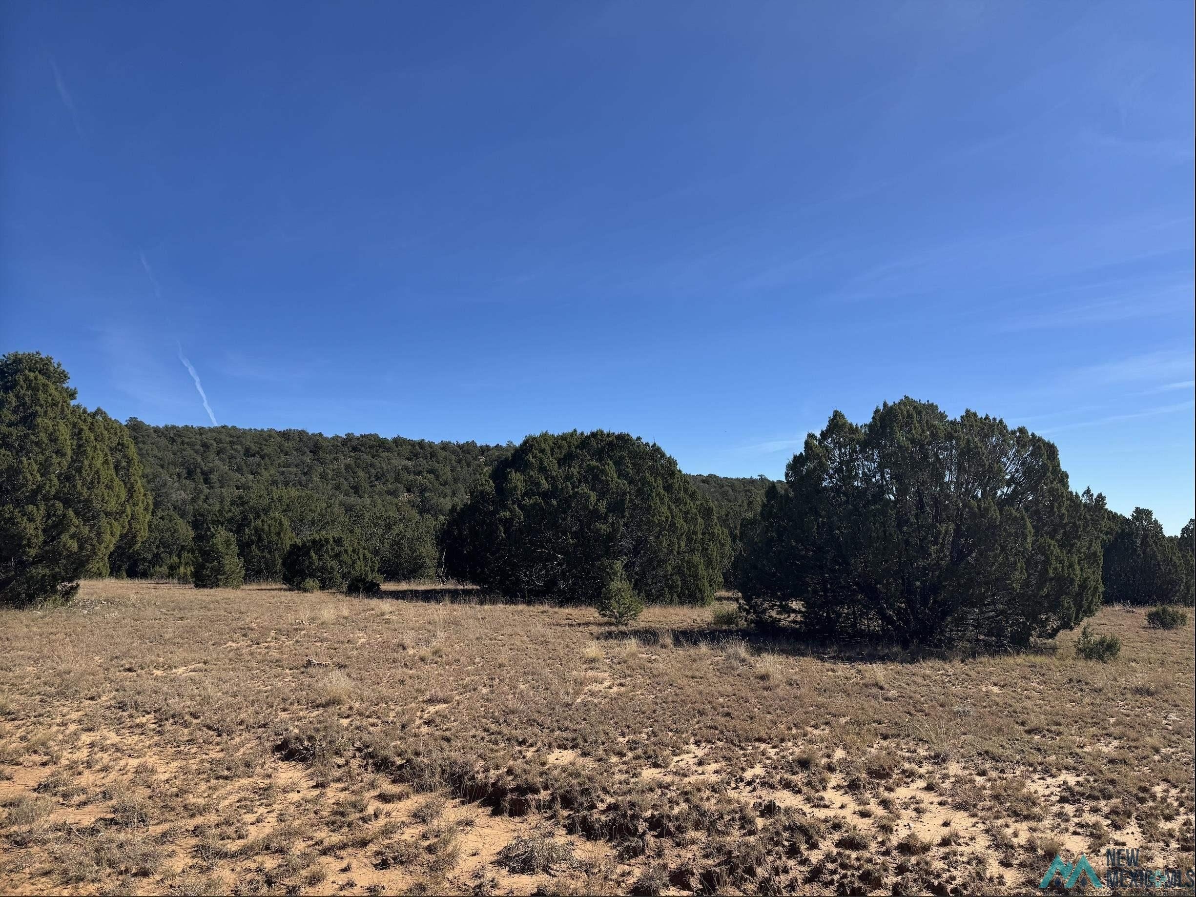 Bernal Mesa Land Parcel