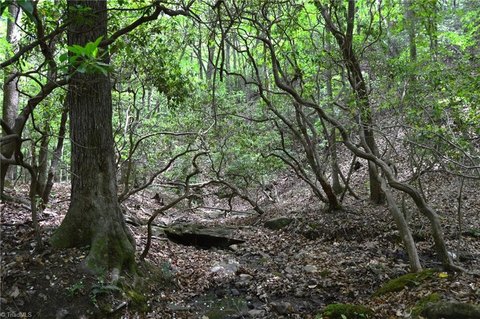 LAND - Germanton, NC