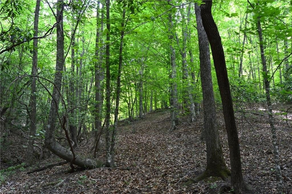 Picture 30