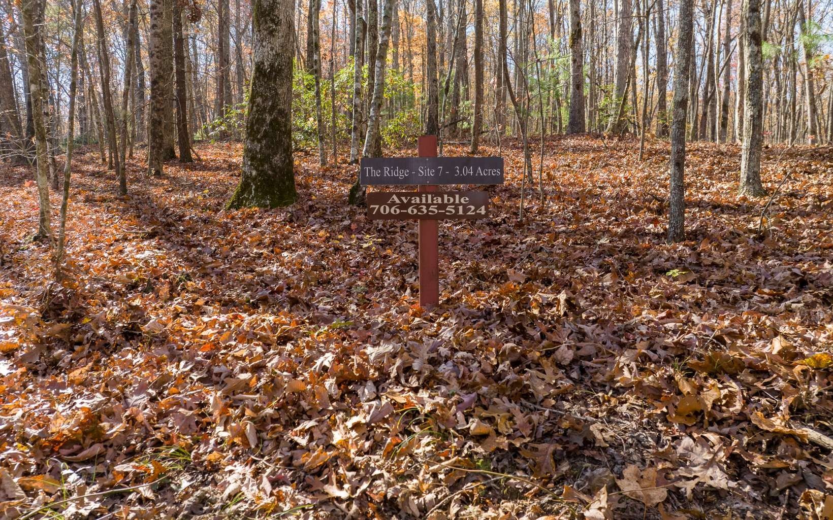 Ellijay, GA River Access Lot
