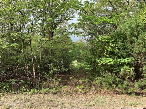 Residential Lot in Mountain Home